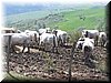 100_3207.JPG