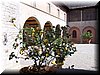 100_3256.JPG