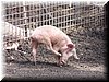 100_3435.JPG