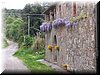 100_3575.JPG