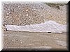 100_4157.JPG