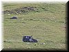 100_4193.JPG