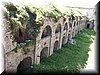 100_4206.JPG