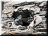 100_4216.JPG