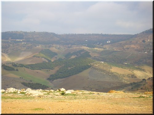 Marocco 016.jpg