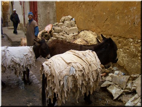 Marocco 028.jpg