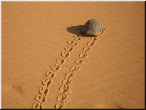 Marocco. 016.jpg