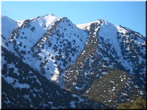Marocco. 167.jpg