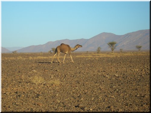 Marocco. 173.jpg