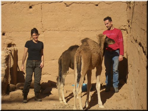 Marocco. 202.jpg