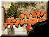DSCN0103.JPG