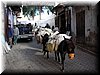 DSCN0110.JPG