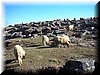 DSCN0230.JPG