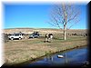 DSCN0231.JPG