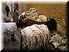 Marocco 028.jpg