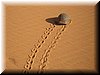 Marocco. 016.jpg