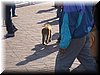 Marocco. 139.jpg