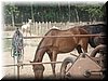 DSC01038.JPG