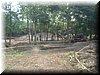DSC01040.JPG