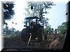 DSC01065.JPG