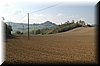 DSC_0081.jpg