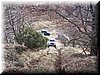 100_5837.JPG
