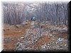 100_5877.JPG