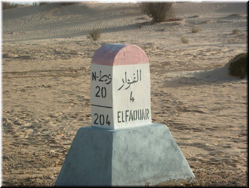 224.JPG