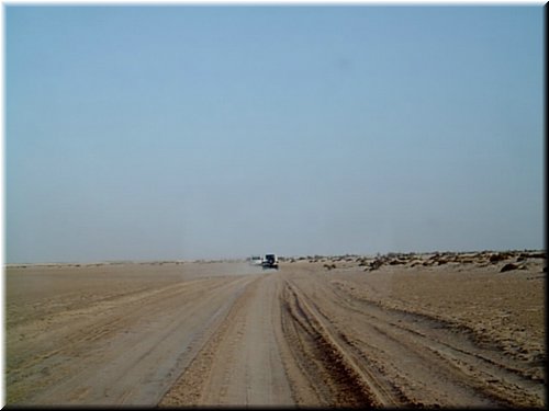 240.jpg