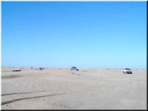 263.JPG