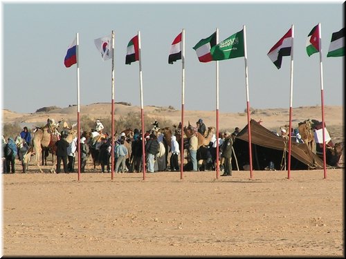 317.JPG