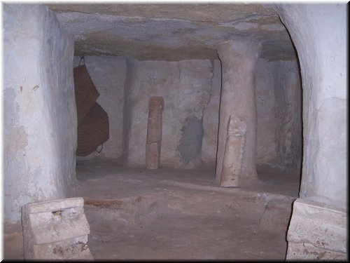 517.JPG